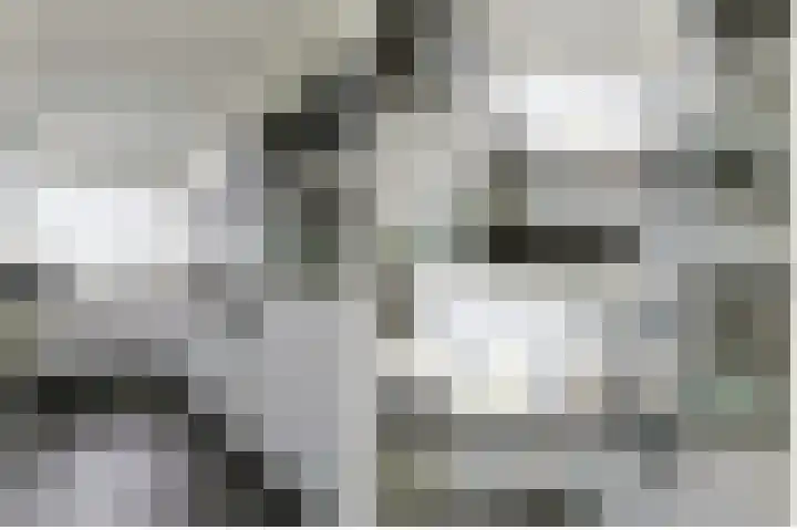 Vliestroom 265 Alphen aan den Rijn thumbnail 21