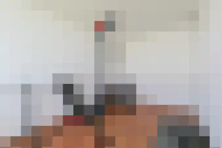 Vliestroom 265 Alphen aan den Rijn thumbnail 33