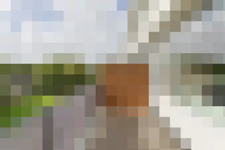 Vliestroom 265 Alphen aan den Rijn thumbnail 39