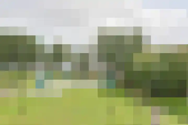 Vliestroom 265 Alphen aan den Rijn thumbnail 41