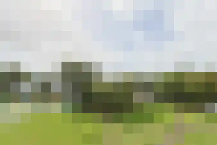 Vliestroom 265 Alphen aan den Rijn thumbnail 42