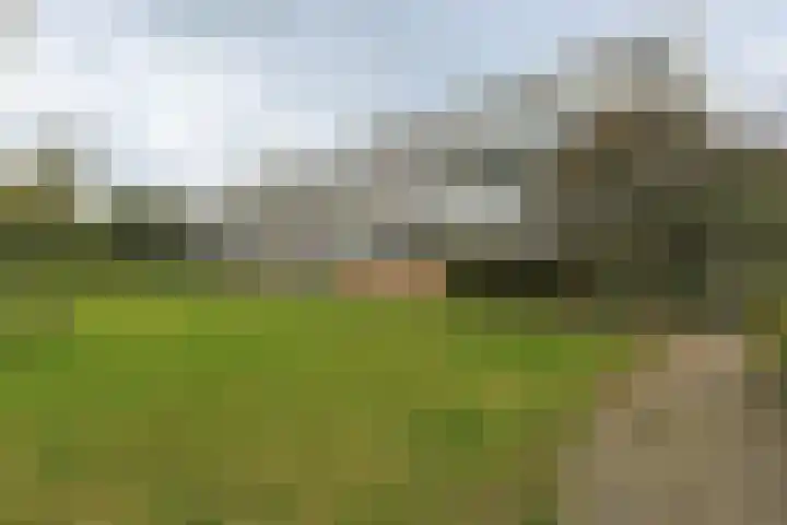Vliestroom 265 Alphen aan den Rijn thumbnail 43