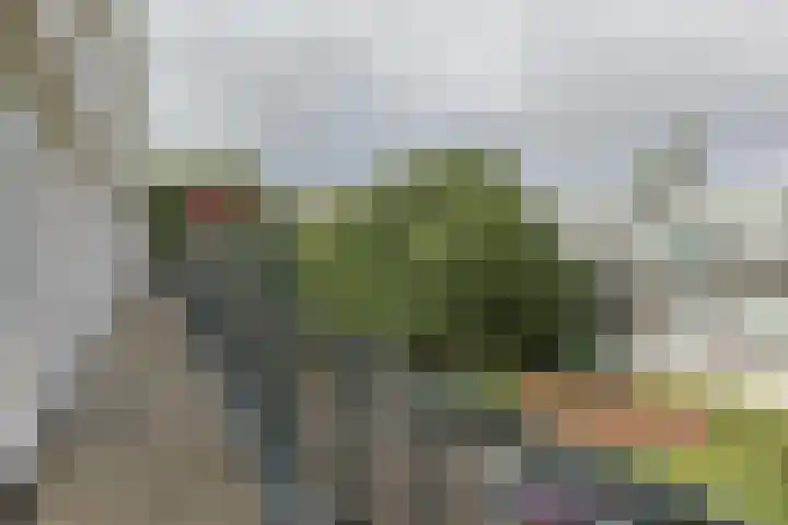 Vliestroom 265 Alphen aan den Rijn thumbnail 6