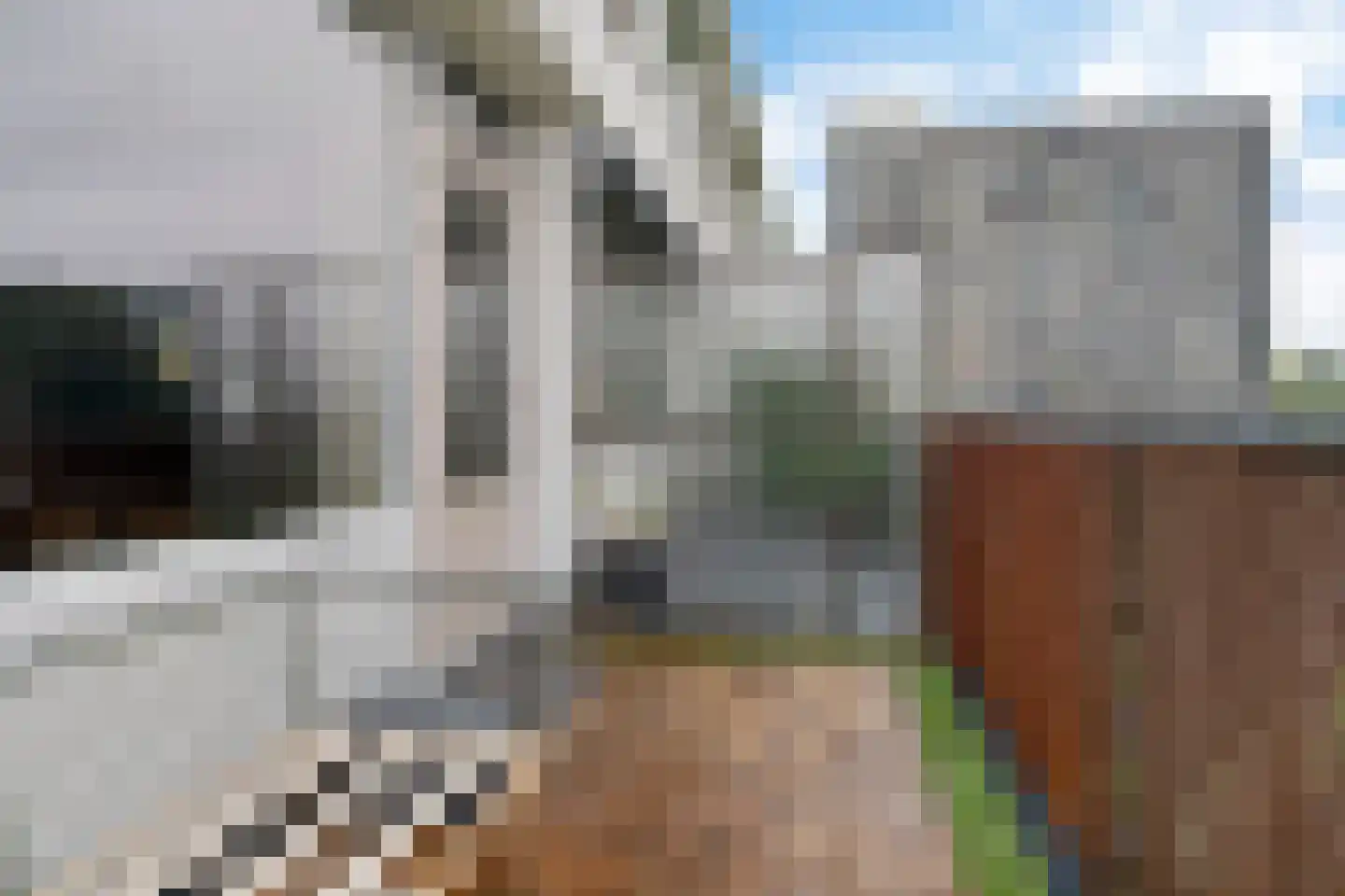 Vliestroom 269 Alphen aan den Rijn thumbnail 22