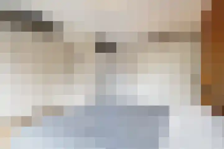 Vliestroom 31 Alkmaar thumbnail 21
