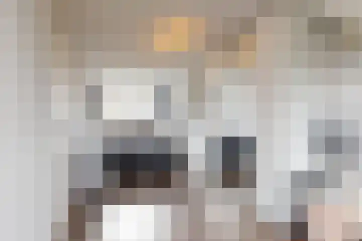 Vliestroom 31 Alkmaar thumbnail 24