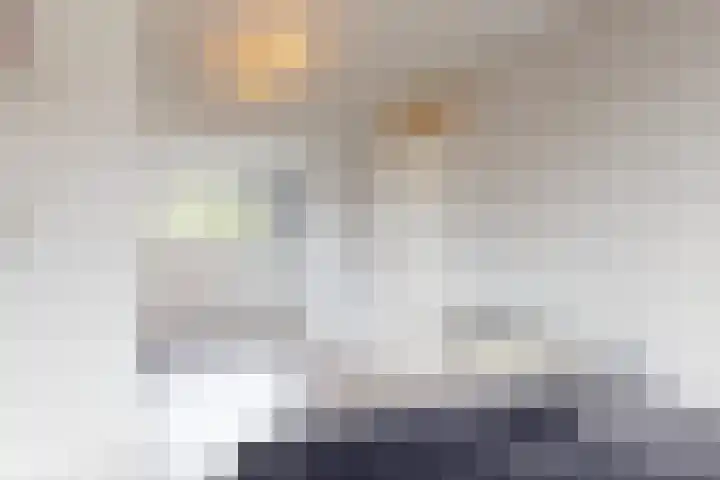 Vliestroom 31 Alkmaar thumbnail 25