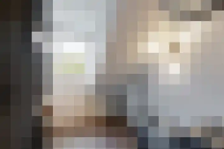 Vliestroom 31 Alkmaar thumbnail 27
