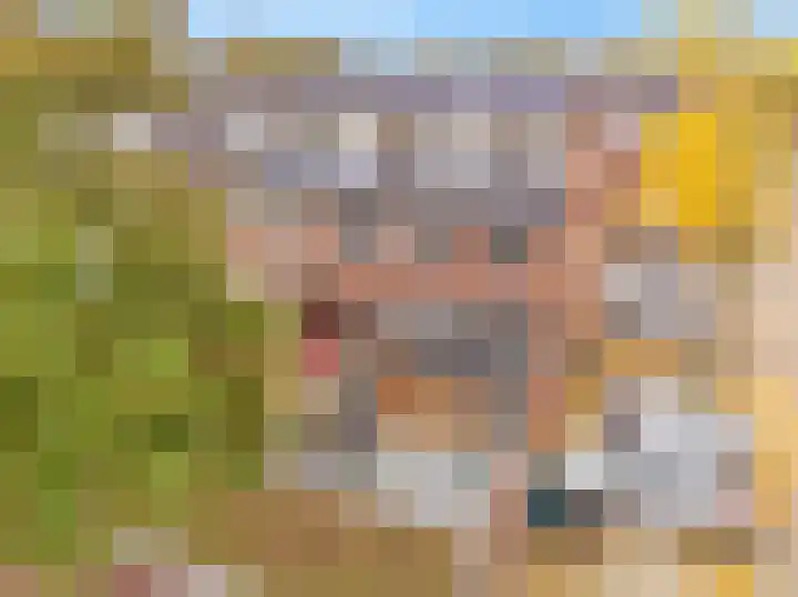 Vliestroom 31 Alkmaar thumbnail 34