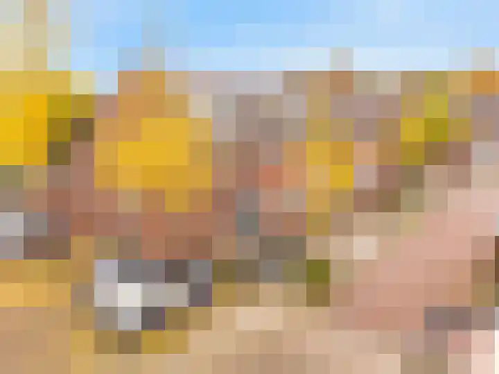 Vliestroom 31 Alkmaar thumbnail 36