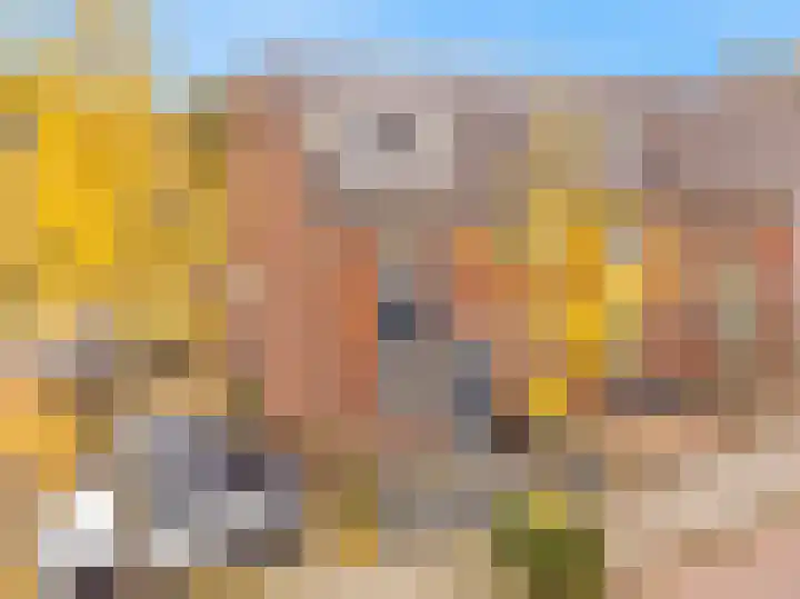 Vliestroom 31 Alkmaar thumbnail 42