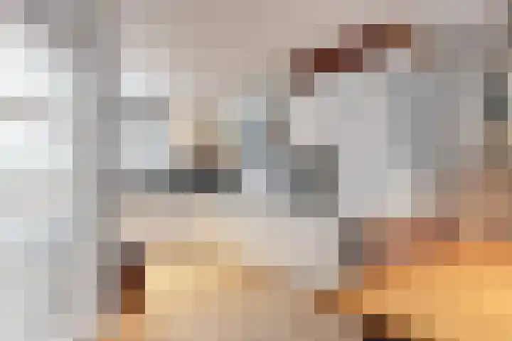Vliestroom 31 Alkmaar thumbnail 5