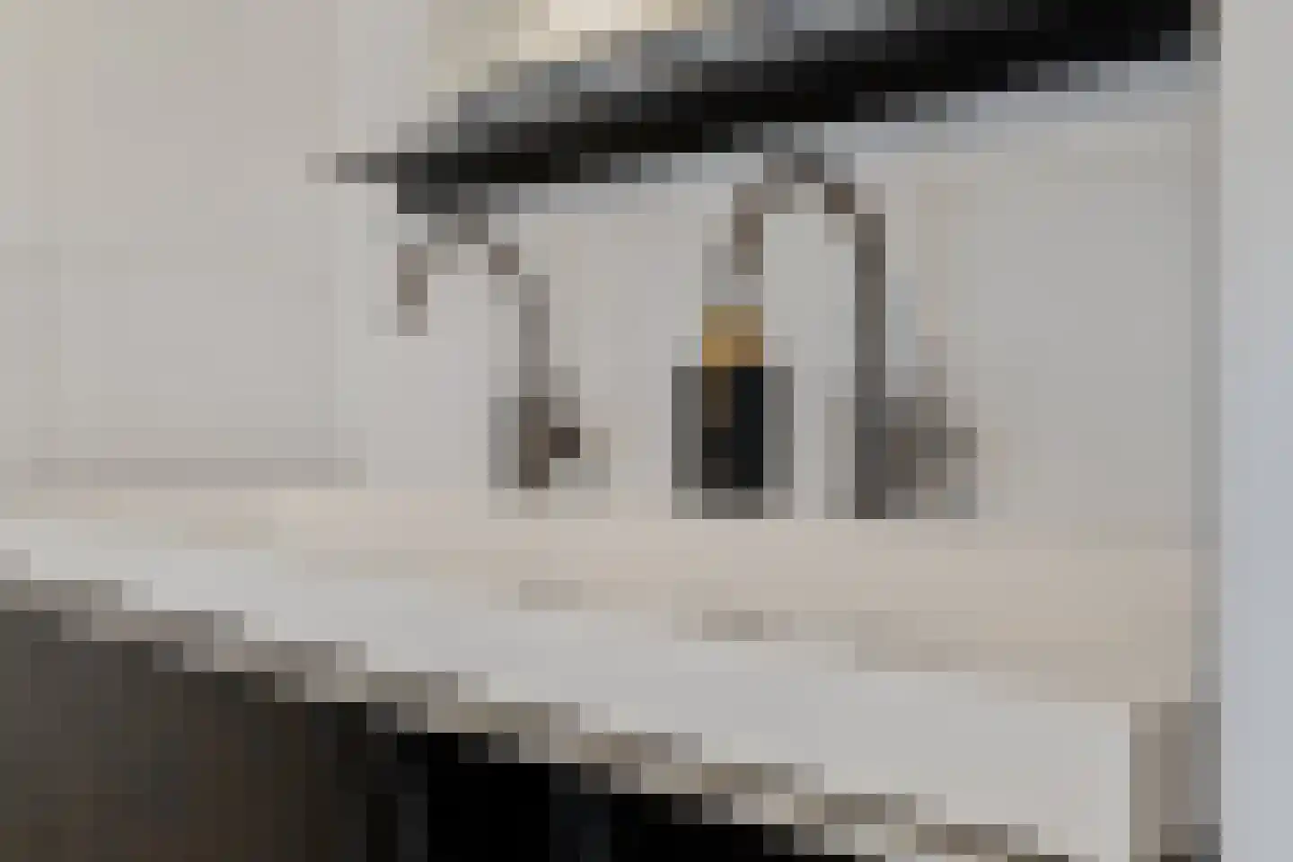 Vliestroom 315 Alphen aan den Rijn thumbnail 26