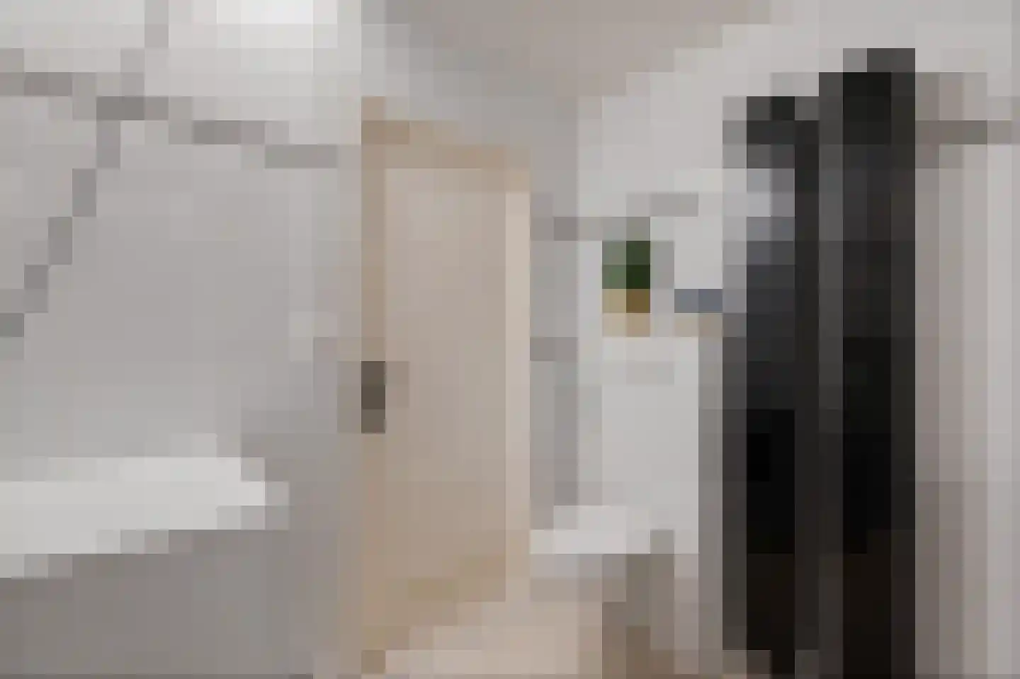 Vliestroom 315 Alphen aan den Rijn thumbnail 27