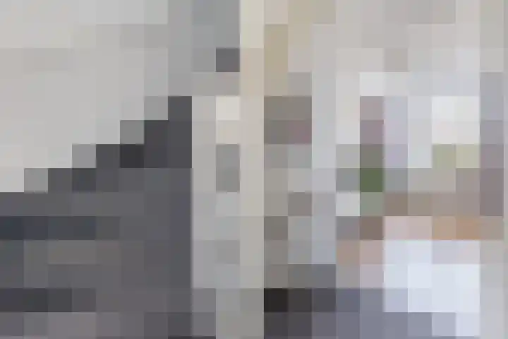 Vliestroom 32 Alkmaar thumbnail 19