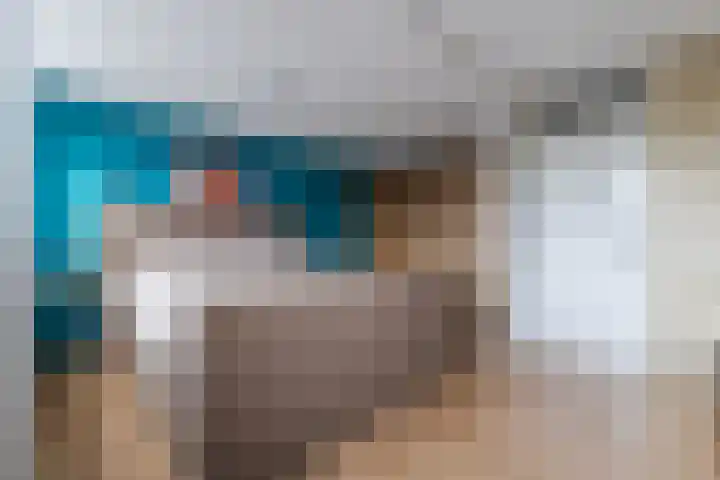 Vliestroom 32 Alkmaar thumbnail 21