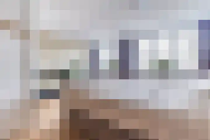 Vliestroom 32 Alkmaar thumbnail 22