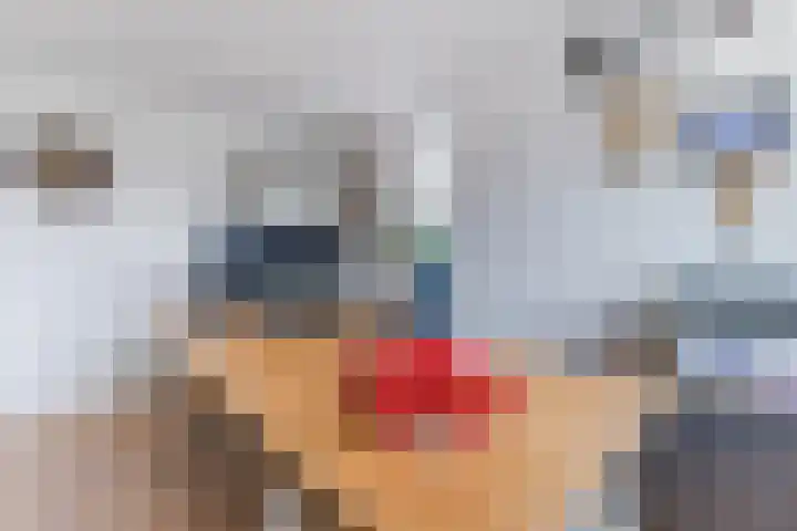 Vliestroom 32 Alkmaar thumbnail 24