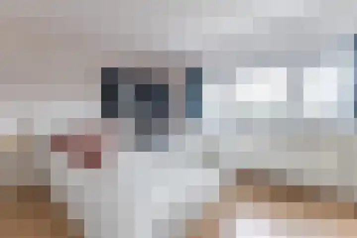 Vliestroom 32 Alkmaar thumbnail 31