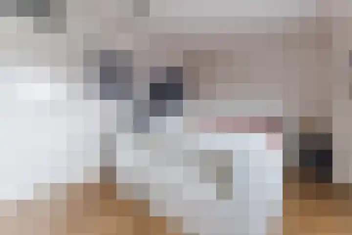 Vliestroom 32 Alkmaar thumbnail 32