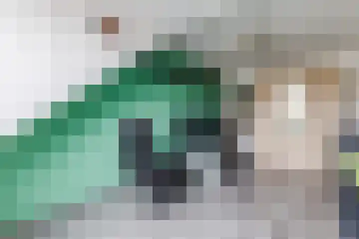 Vliestroom 32 Alkmaar thumbnail 34