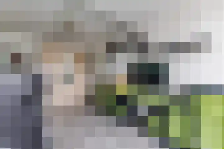 Vliestroom 32 Alkmaar thumbnail 35