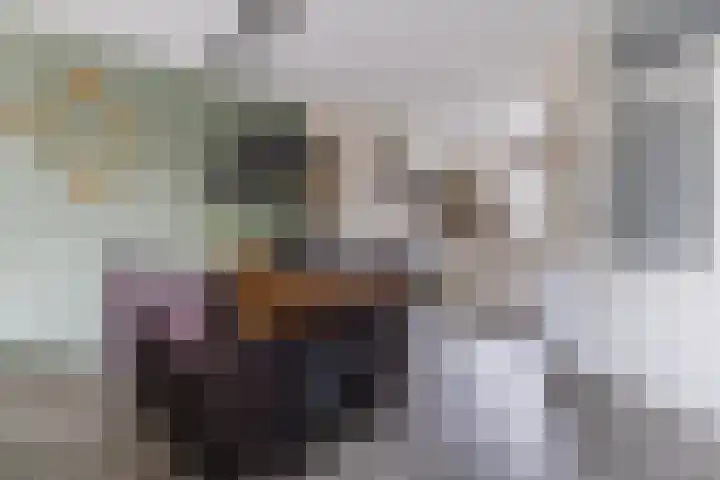 Vliestroom 32 Alkmaar thumbnail 4