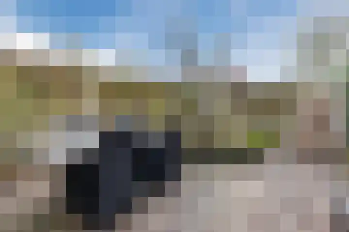Vliestroom 32 Alkmaar thumbnail 41