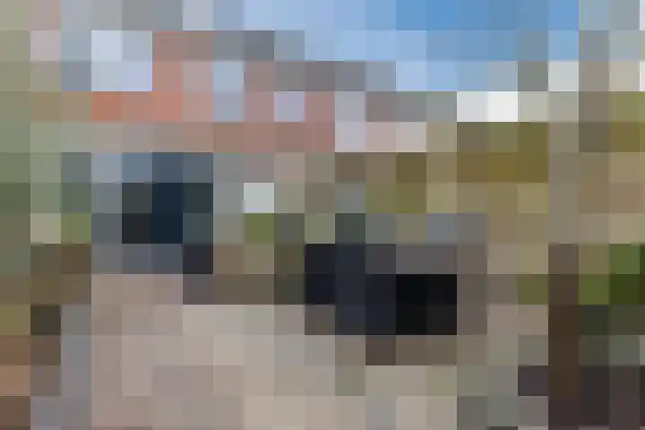 Vliestroom 32 Alkmaar thumbnail 42