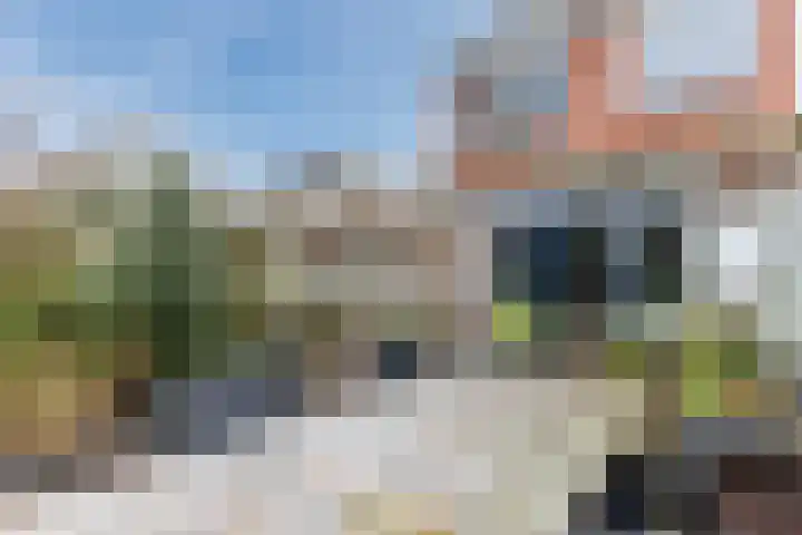 Vliestroom 32 Alkmaar thumbnail 44