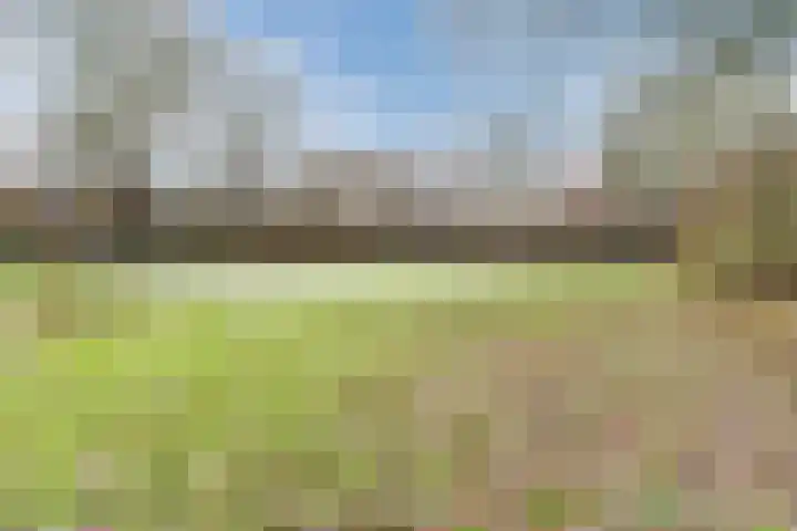 Vliestroom 32 Alkmaar thumbnail 54