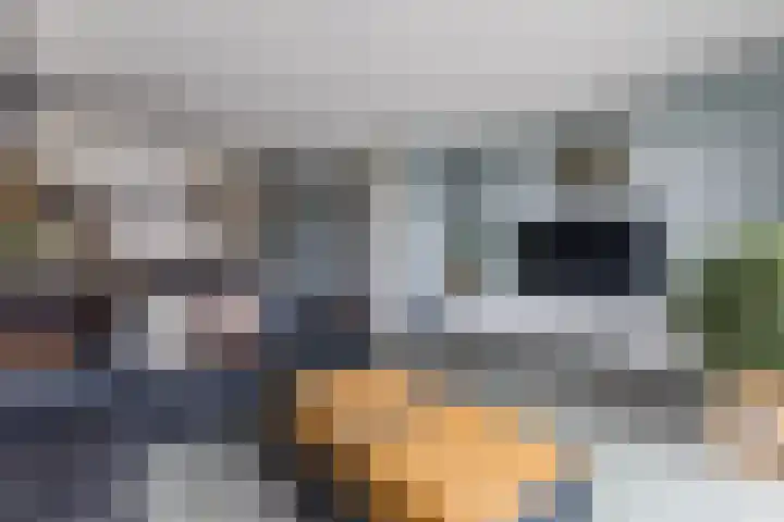 Vliestroom 32 Alkmaar thumbnail 6
