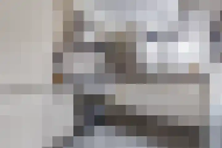 Vliestroom 32 Alkmaar thumbnail 8