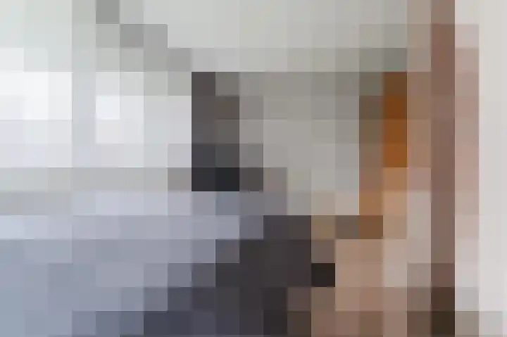 Vliestroom 325 Alphen aan den Rijn thumbnail 20