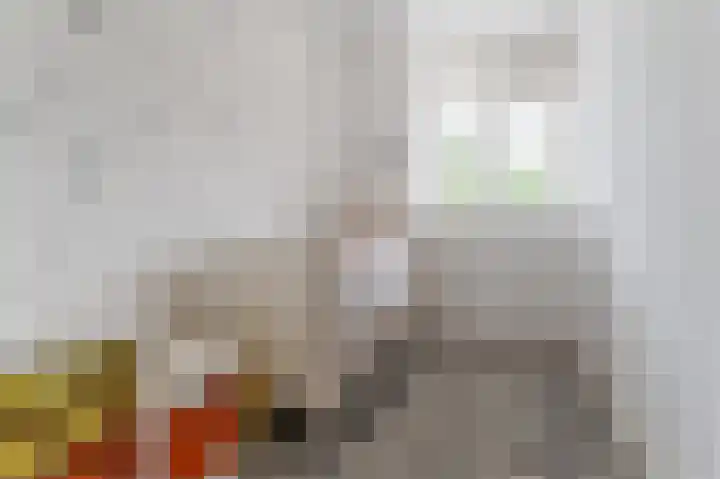Vliestroom 325 Alphen aan den Rijn thumbnail 22