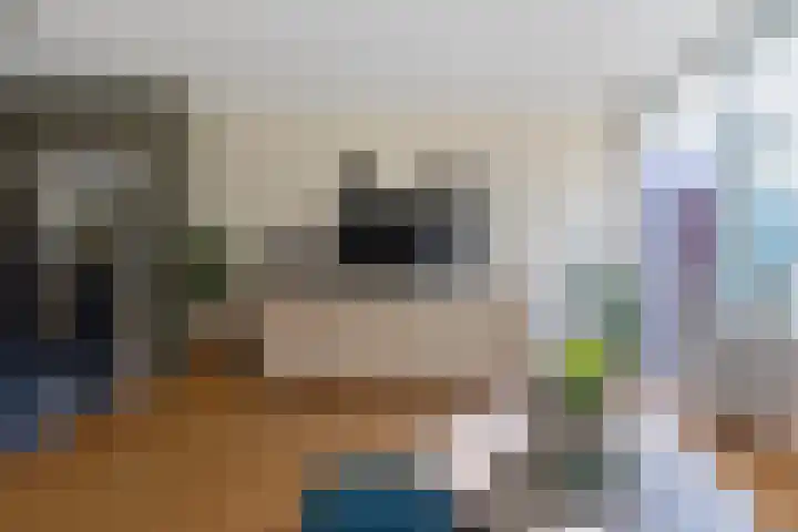 Vliestroom 355 Alphen aan den Rijn thumbnail 10