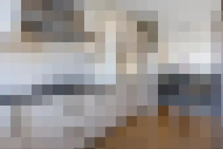 Vliestroom 355 Alphen aan den Rijn thumbnail 16