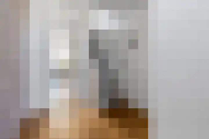 Vliestroom 355 Alphen aan den Rijn thumbnail 19