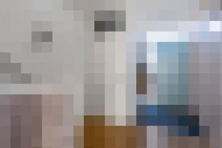 Vliestroom 355 Alphen aan den Rijn thumbnail 20
