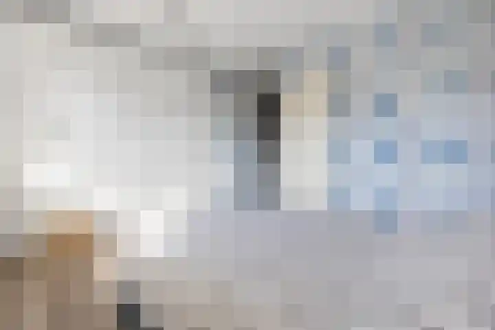 Vliestroom 355 Alphen aan den Rijn thumbnail 25