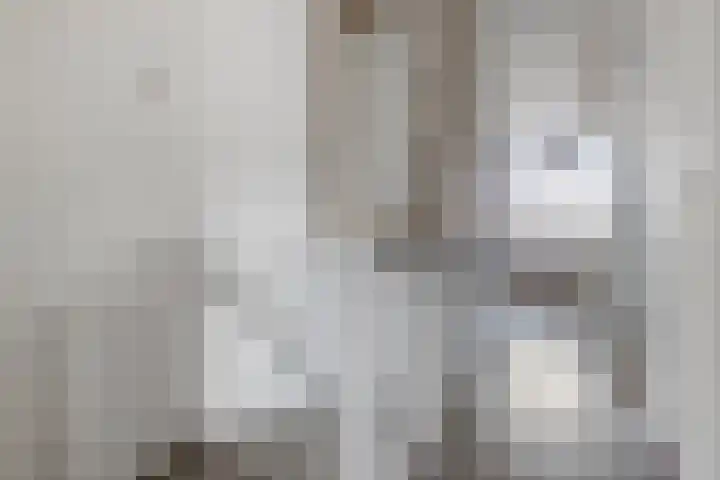 Vliestroom 355 Alphen aan den Rijn thumbnail 26