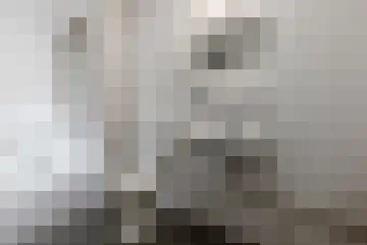 Vliestroom 355 Alphen aan den Rijn thumbnail 35