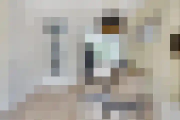 Vliestroom 357 Alphen aan den Rijn thumbnail 11