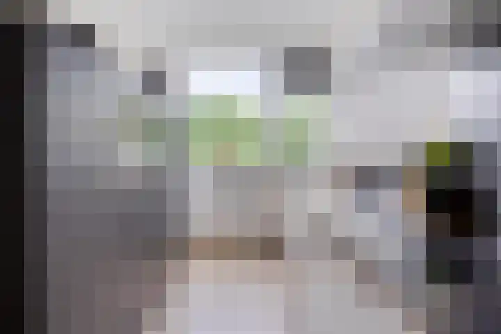 Vliestroom 357 Alphen aan den Rijn thumbnail 12
