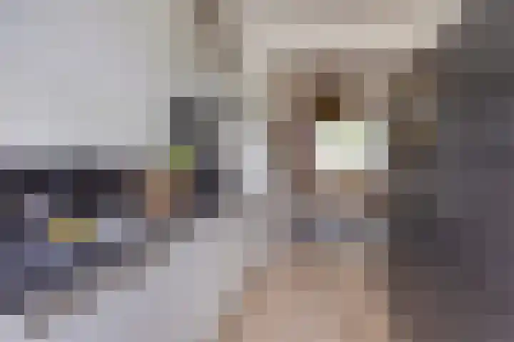 Vliestroom 357 Alphen aan den Rijn thumbnail 13