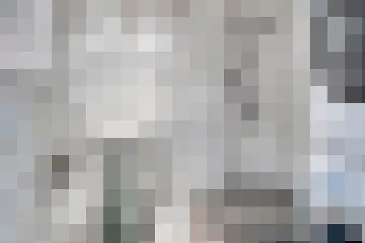 Vliestroom 357 Alphen aan den Rijn thumbnail 17