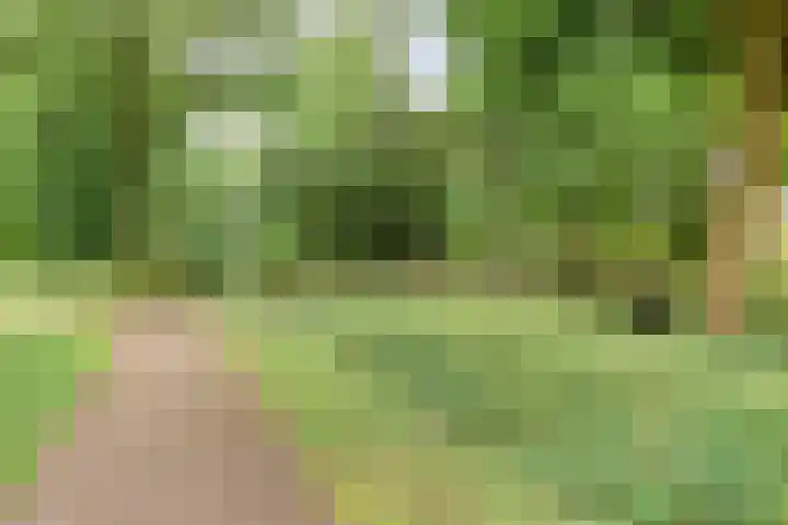 Vliestroom 357 Alphen aan den Rijn thumbnail 24