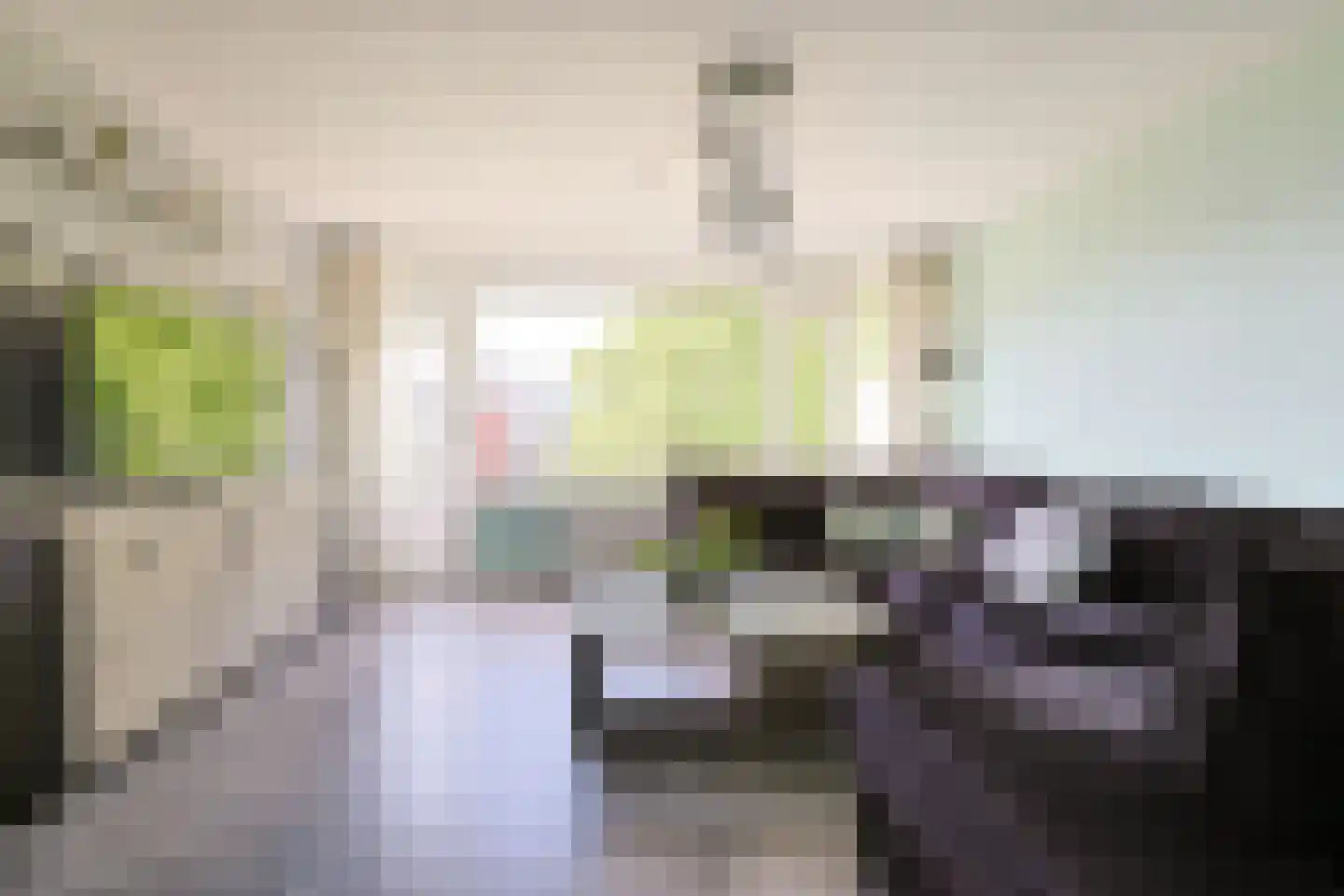 Vliestroom 369 Alphen aan den Rijn thumbnail 11