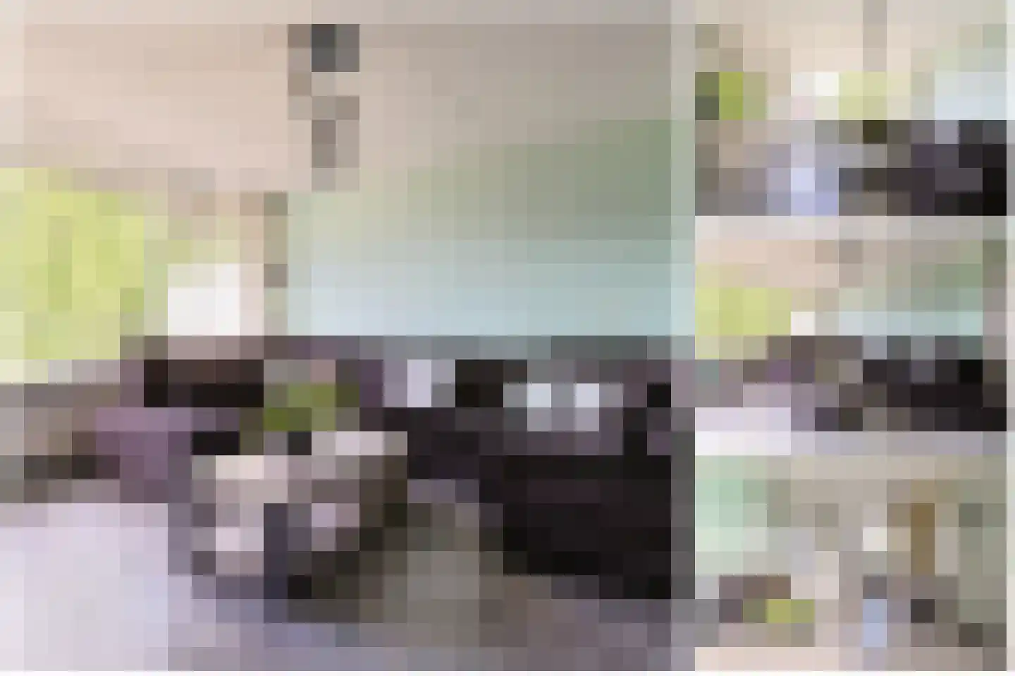 Vliestroom 369 Alphen aan den Rijn thumbnail 13