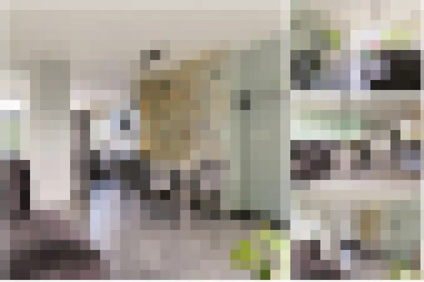 Vliestroom 369 Alphen aan den Rijn thumbnail 15